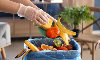 Qual a duração de cada alimento fora da geladeira? E como evitar desperdício