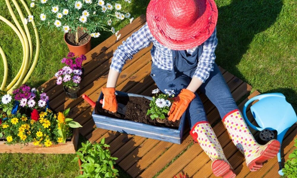 Quais produtos comprar para começar a fazer jardinagem?