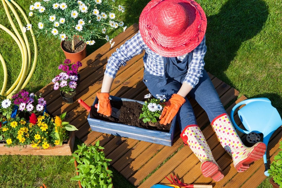 Quais produtos comprar para começar a fazer jardinagem?
