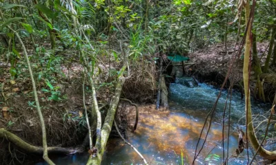 Fronteira entre Amazônia e Cerrado: clima deve comprometer viabilidade de 74% das terras agrícolas até 2060