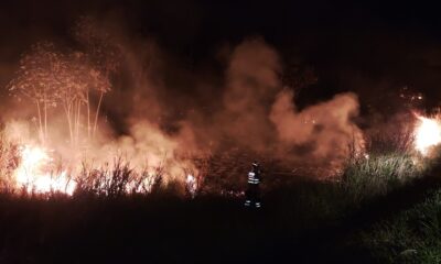 Incêndios causados pela seca podem agravar cenário de interrupções de energia elétrica