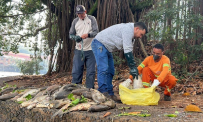 Pescadores do Rio Piracicaba recebem apoio após nova mortandade de peixes