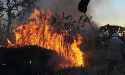 Brasil tem aumento de 107% nos focos de incêndios florestais