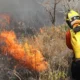 QUEIMADAS: Brasil registra 184 mil focos; estados atuam no combate aos incêndios