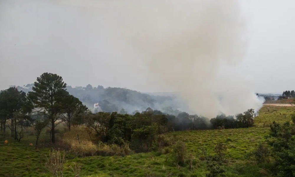 Queimadas em SP: empobrecimento do solo pode ser consequência grave