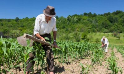 Centro-Oeste lidera concessões de crédito rural com R$ 15,7 milhões no 2º trimestre de 2024