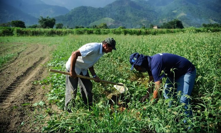 Agro apresenta perda de quase 30 mil vagas de trabalho em novembro