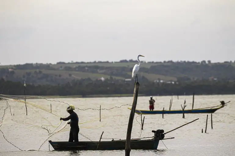 Período de defeso na Bacia Hidrográfica do Rio Amazonas termina em 28 de fevereiro