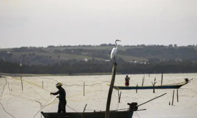 Período de defeso na Bacia Hidrográfica do Rio Paraná termina em 28 de fevereiro